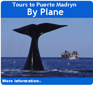 Book tours to Puerto Madryn