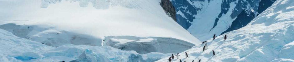 Excursions to Antarctica